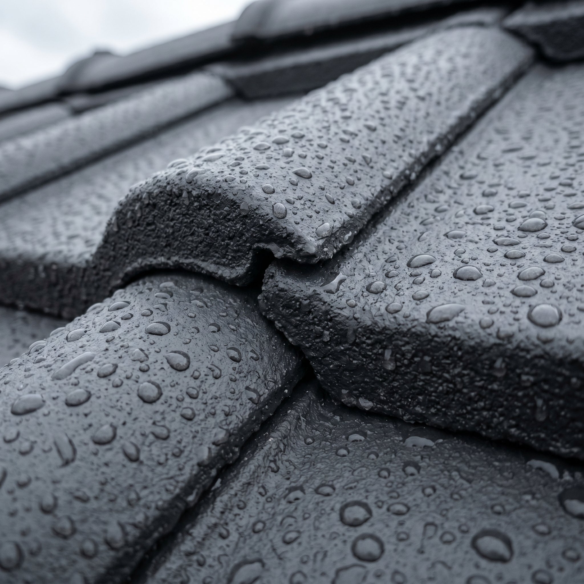 Flat-roof coating —
seamless & rain-resistant in 6 h